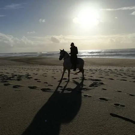Сasa de vacaciones Casa Da Paraventa