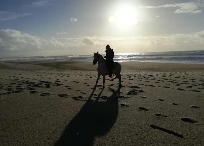Hébergement de vacances Casa Da Paraventa