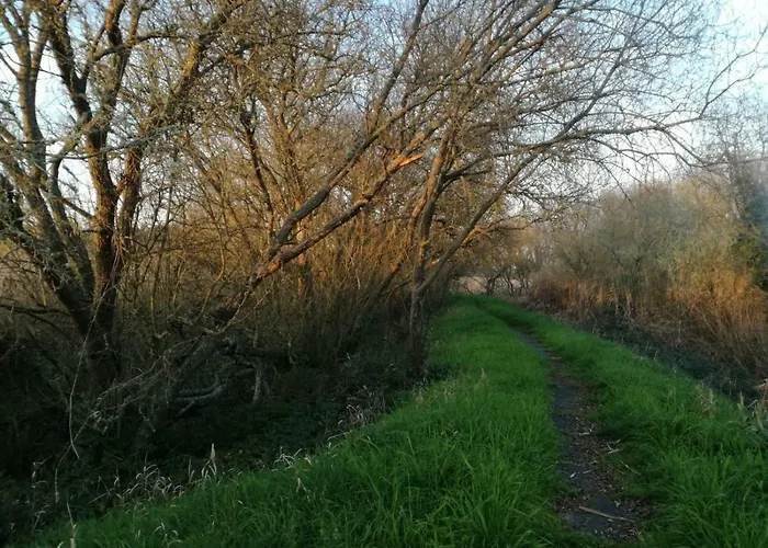 Casa Da Paraventa Holiday home *